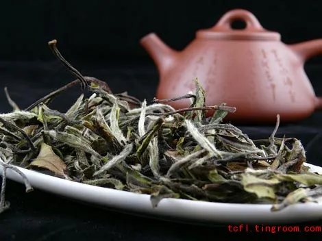 Chinese Tea Culture 功夫茶 16 White Peony Tea