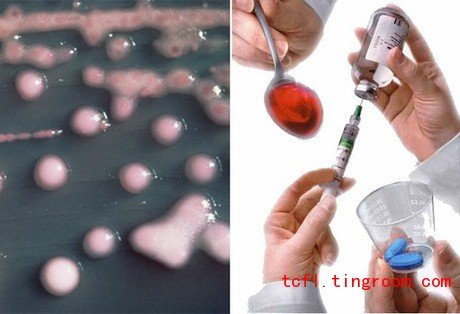 Extensive Reading Lesson 37