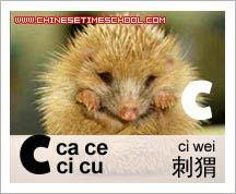 Chinese Characters and Radicals - Chinese Pinyin Initials 3