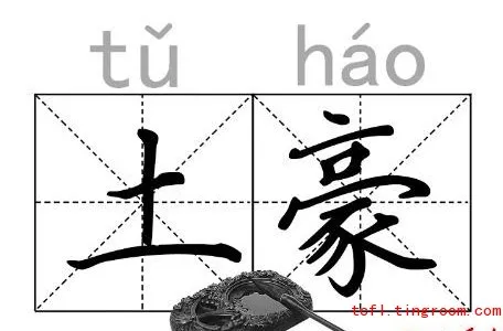 Word influence: China's buzzword 'tuhao' may be part of English glossary