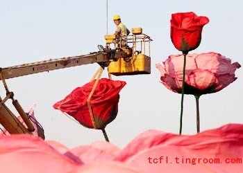National Day Floral Displays
