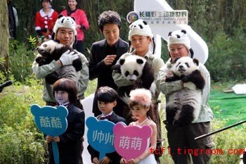 Names Chosen for Panda