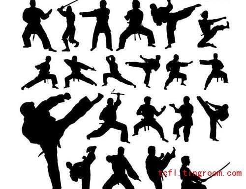 Chinese Kung Fu 中国功夫 - The Mechanics of the Physical Side of Kung Fu