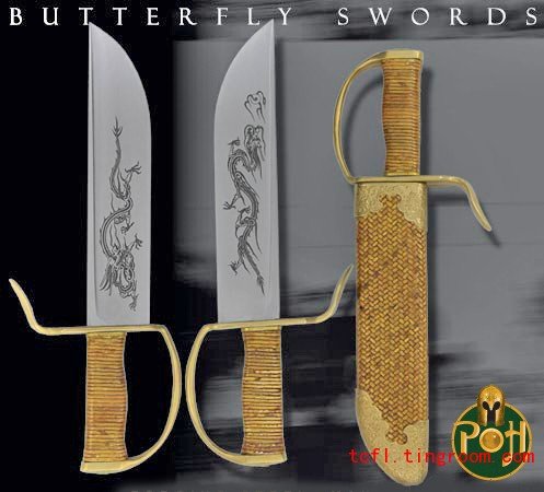 Chinese Kung Fu 中国功夫 -  The Mechanics of Wing Chun Weapons Forms