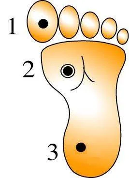 Chinese Kung Fu 中国功夫 - The Mechanics of Wing Chun Empty Hand Forms