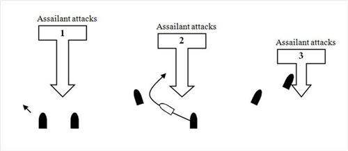 Chinese Kung Fu 中国功夫 - The Mechanics of Wing Chun Empty Hand Forms