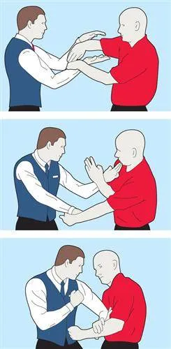 Chinese Kung Fu 中国功夫 - The Mechanics of Wing Chun Empty Hand Forms