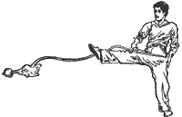 Ancient Chinese Wushu weapon