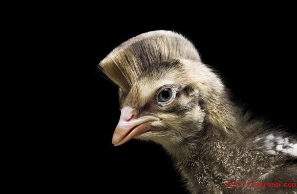 谁说短发就一定是女汉子？