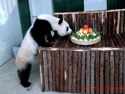 China Travel Planning 旅游汉语 - Top 10 China Tourist Cities